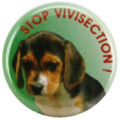 Stop Vivisectie button van Animal Friends Croatia, Klik om naar de webshop te gaan