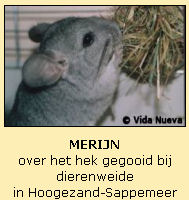 Merijn, over het hek gegooid bij dierenweide in Hoogezand-Sappemeer