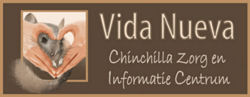 Vida Nueva