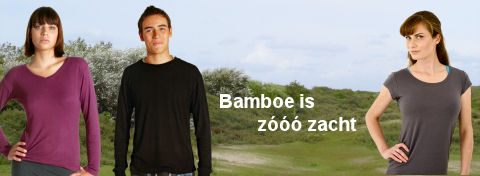 Bamboe