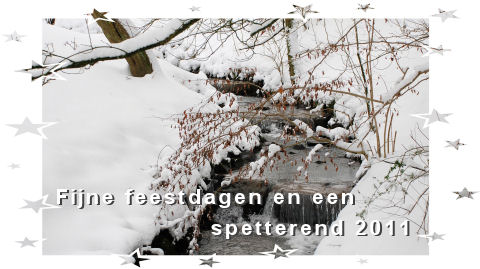 Fijne feestdagen en een spetterend 2011