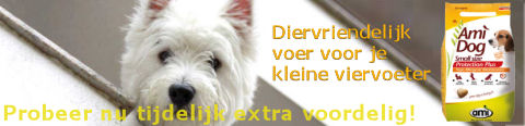 Probeer Ami Dog smallsize nu extra voordelig