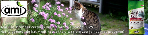 Probeer voordelig Ami Cat