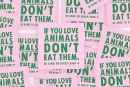 Sticker 5x5 - If you love animals DON'T eat them.