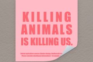 Sticker 10x10 - Killing animals is killing us.