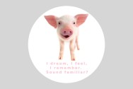 Sticker - I dream, I feel, I remember.