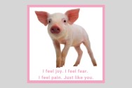 Sticker - I feel joy. I feel fear. I feel pain.