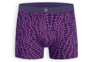 A-dam Boxer Purple Croc