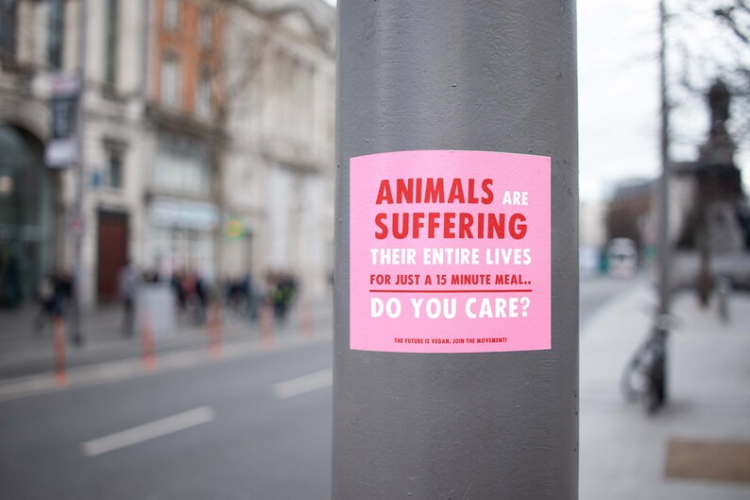 Katinka Cares Sticker - Animals are suffering their entire life