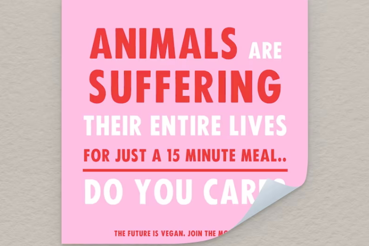 Katinka Cares Sticker - Animals are suffering their entire life