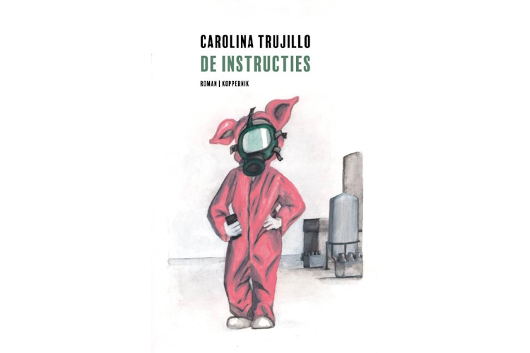 Boek De instructies