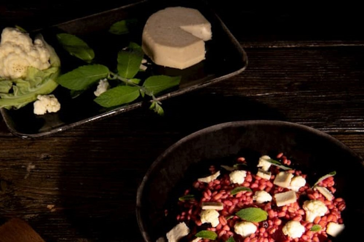 Casa del Fermentino Plantaardig Alternatief voor Kaas: Cicioni