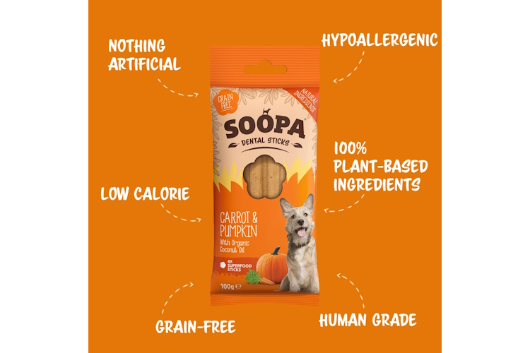 Soopa Dental Sticks - Wortel en pompoen