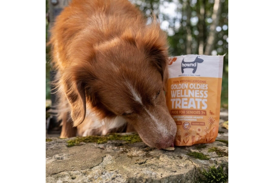 Hownd Golden Oldies Hemp Wellness Treats