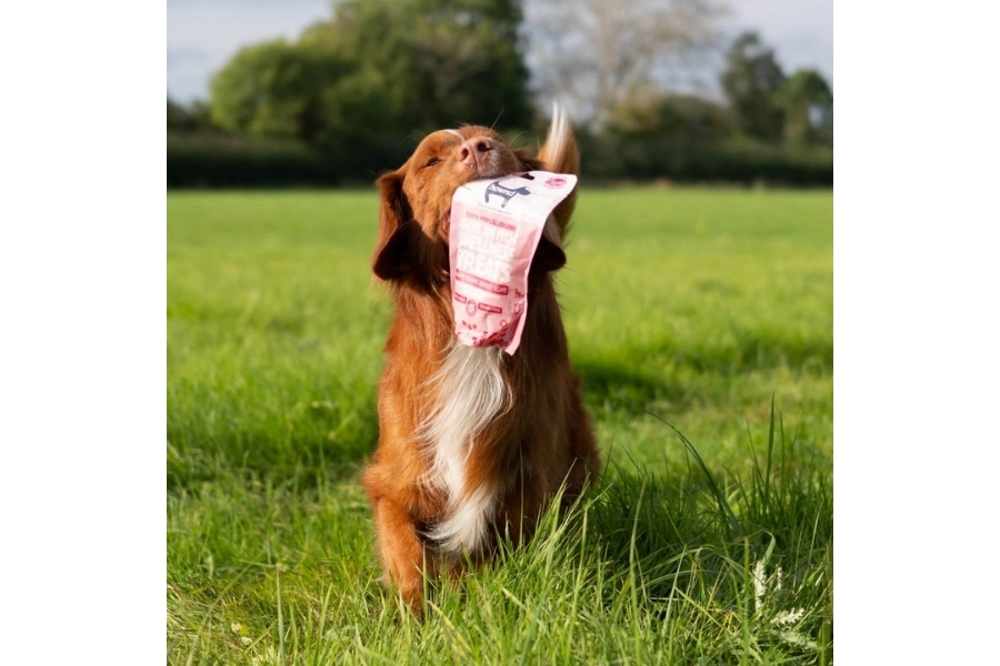 Hownd Got An Itch? Hemp Wellness Treats