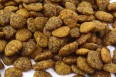 Benevo Kattenvoer - Adult Original