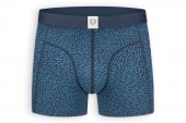 A-dam Boxer Blue Fish