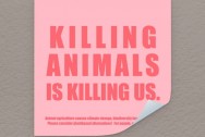 Katinka Cares Sticker 10x10 - Killing animals is killing us.