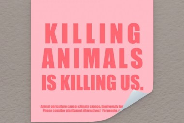 Katinka Cares Sticker - Killing animals is killing us.