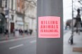 Katinka Cares Sticker - Killing animals is klilling us.