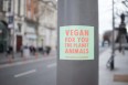 Katinka Cares Sticker - Vegan for you, the planet, animals