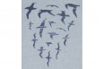 Päälä T-shirt Albatross - Ice Blue