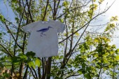 Päälä T-shirt kids Sandpiper - Serena Blue