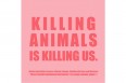 Katinka Cares Sticker - Killing animals is klilling us.