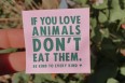 Katinka Cares Sticker 5x5 - If you love animals DON'T eat them.