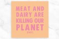 Katinka Cares Sticker 5x5 - Meat and dairy are killing our planet