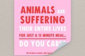 Katinka Cares Sticker - Animals are suffering their entire life