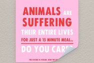 Katinka Cares Sticker 10x10 - Animals are suffering their entire life